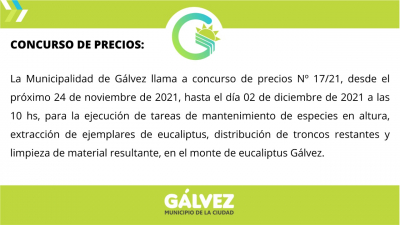 Concurso de Precios para la Ejecución de Tareas en el Monte de Eucaliptus