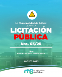 LICITACION PÚBLICA 03/25