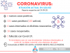 CORONAVIRUS: Reporte Vespertino 19 de Septiembre